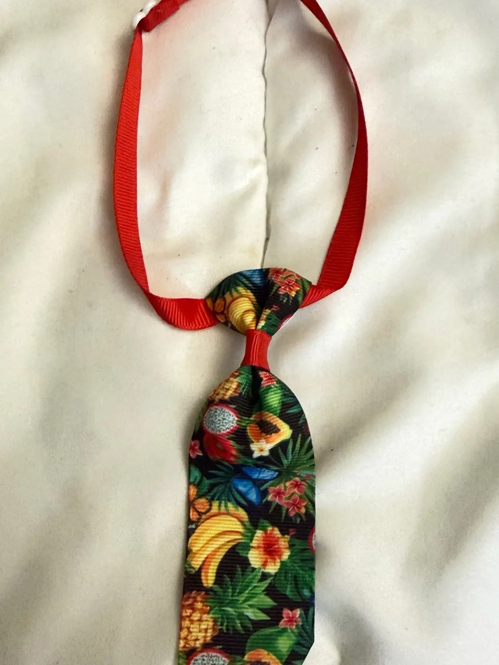 Dog or Cat bow and ties